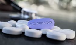 Pharma majors collaborate for clinical trial of Molnupiravir for COVID-19