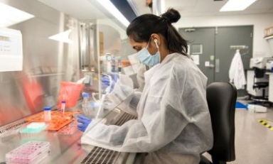 Serum Life Sciences invests US $ 10 million in GreenLight Biosciences