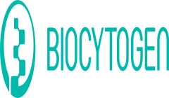 Biocytogen signs RenMab/RenLite licensing agreement with BeiGene