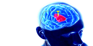 FDA approval of deep brain stimulators will drive APAC market, says GlobalData