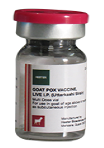 Hester planning capacity expansion for Goat Pox vaccine