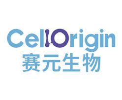 CellOrigin Biotech collaborates with Qilu Pharma to develop CAR-iMAC Cell Therapy