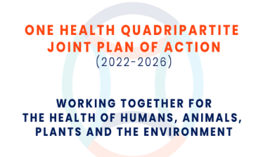 WHO, FAO, UNEP and WOAH launch One Health Joint Plan of Action