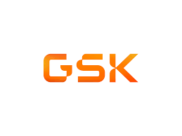 GSK’s respiratory syncytial virus older adult vaccine candidate granted Priority Review by US FDA