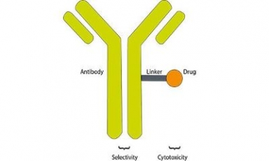 Antibody-drug conjugates gain traction in China oncology market, says GlobalData