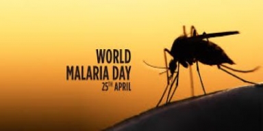 Huge milestones made towards Zero Malaria goal, says GlobalData