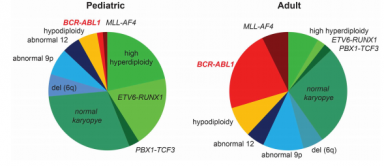 BDR Pharma's Nilotinib sets a new standard in the treatment of Philadelphia Chromosome-positive leukaemia