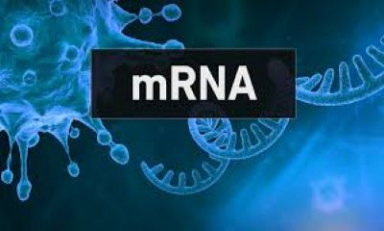 CureVac highlights shift to mRNA technology in seasonal influenza vaccine development: GlobalData