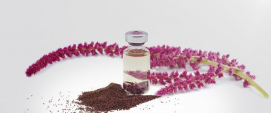 Evonik launches GMP-quality plant-based squalene