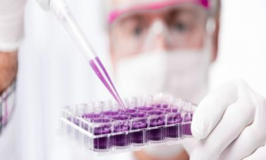Evonik unveils latest global trial results MetAMINO