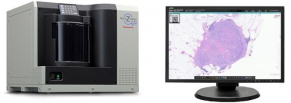 Indica Labs receives FDA clearance for HALO AP Dx digital pathology platform