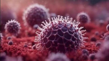 ICMR detects two cases of HMPV in Karnataka through routine surveillance