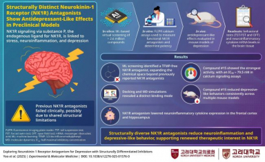 Redesigned brain receptor drugs show promise for depression