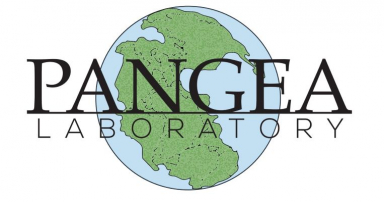Pangea Laboratory teams with Gene Solutions to bring AI-driven cancer tests to US patients