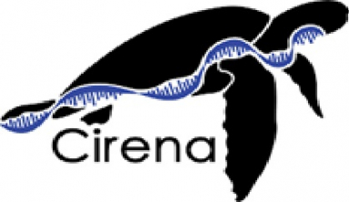 Cirena launches to revolutionize long RNA production for CRISPR & gene editing