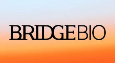 BridgeBio reports breakthrough results in Phase 3 achondroplasia trial