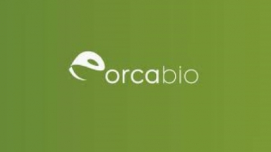 Orca Bio’s Orca-T FDA review extended to July 2026