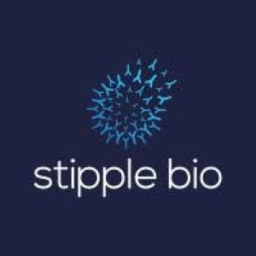 Stipple Bio raises $100M Series A to advance next-gen cancer therapies