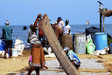 Inter-ministerial study to track zoonotic spillover risks in India