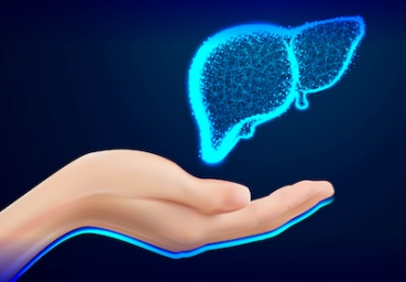 Summer heat may strain liver health, say doctors on World Liver Day