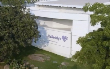 Dr Reddy’s becomes first to secure Health Canada nod for generic Semaglutide injection