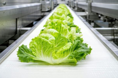 Clariant bags FDA nod for bio-based PVC additives