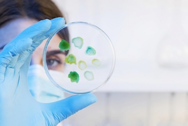 Biopharma funding rebounds in 2026, but capital flows to lower-risk assets