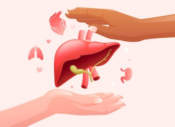 India achieves landmark milestone of 5 lakh organ donation pledges