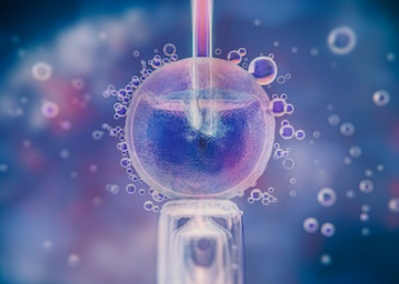 Oval & Merck Specialities sign strategic pact to expand access to advanced IVF care in India