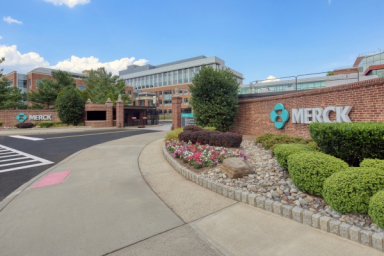 Merck wins EU nod for KEYTRUDA-Padcev regimen in muscle-invasive bladder cancer