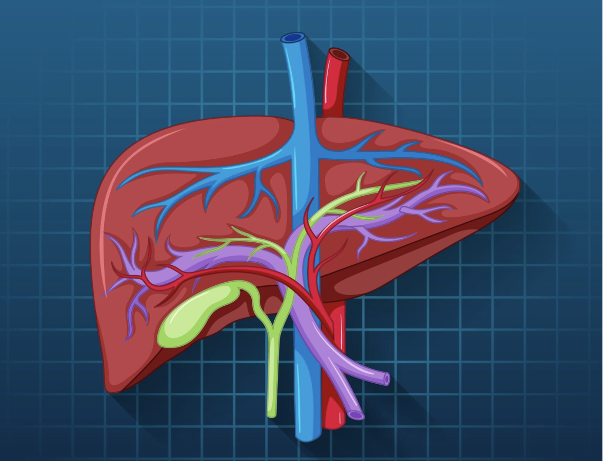 Energy drinks emerging as hidden driver of liver damage in India’s youth, warn experts