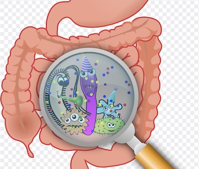 Project Serotonin launches AI-powered gut health protocol