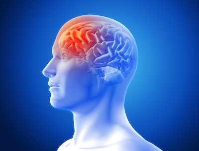 World Brain Day 2026: Neurologists call for timely diagnosis and equitable access to brain care